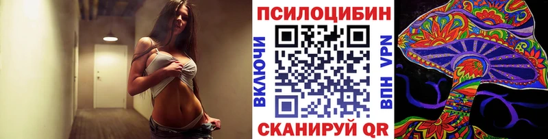 Галлюциногенные грибы Psilocybe  MEGA сайт  Буй  наркота 
